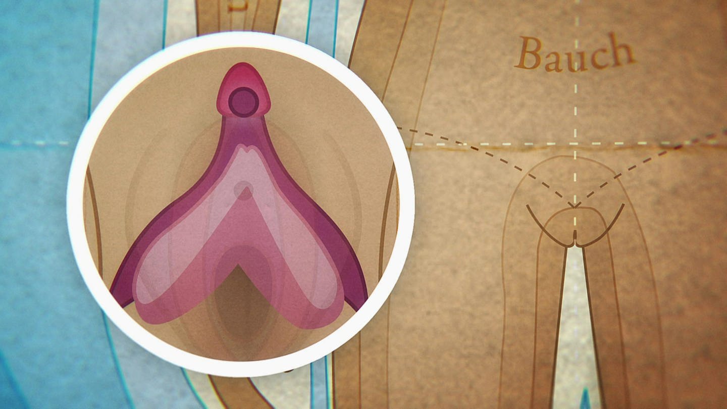 Animiert – In ein Bild der Scheide ist die Klitoris inklusive der Klitoris Schenkel eingezeichnet.